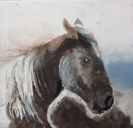 watercolor horse